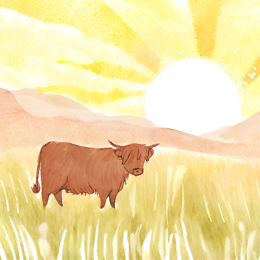 Sunny Churchill Island Highland Cow: square coaster