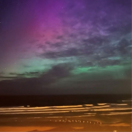 Penguins Under the Aurora: earrings