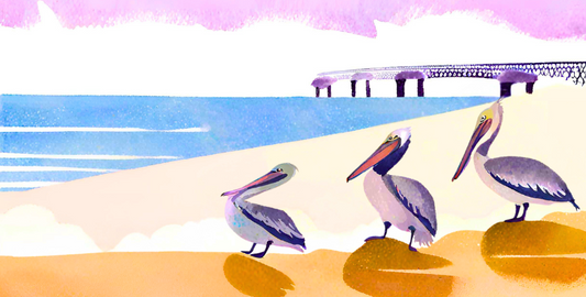 Pelicans of San Remo: Art Pen