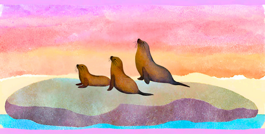 Australian Fur Seals at the Nobbies: Art Pen