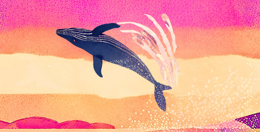 Humpback Whale at Sunset: Art Pen