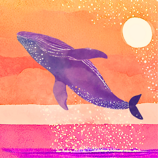 Humpback Whale at Sunset: square coaster