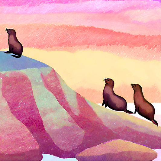 Australian Fur Seals at the Nobbies: square coaster