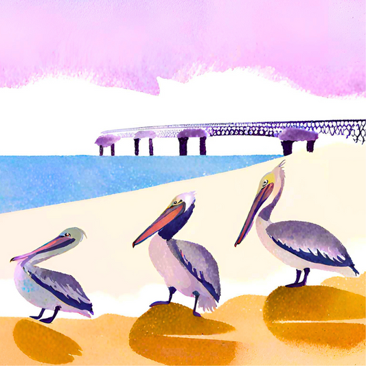 Pelicans at San Remo: square coaster